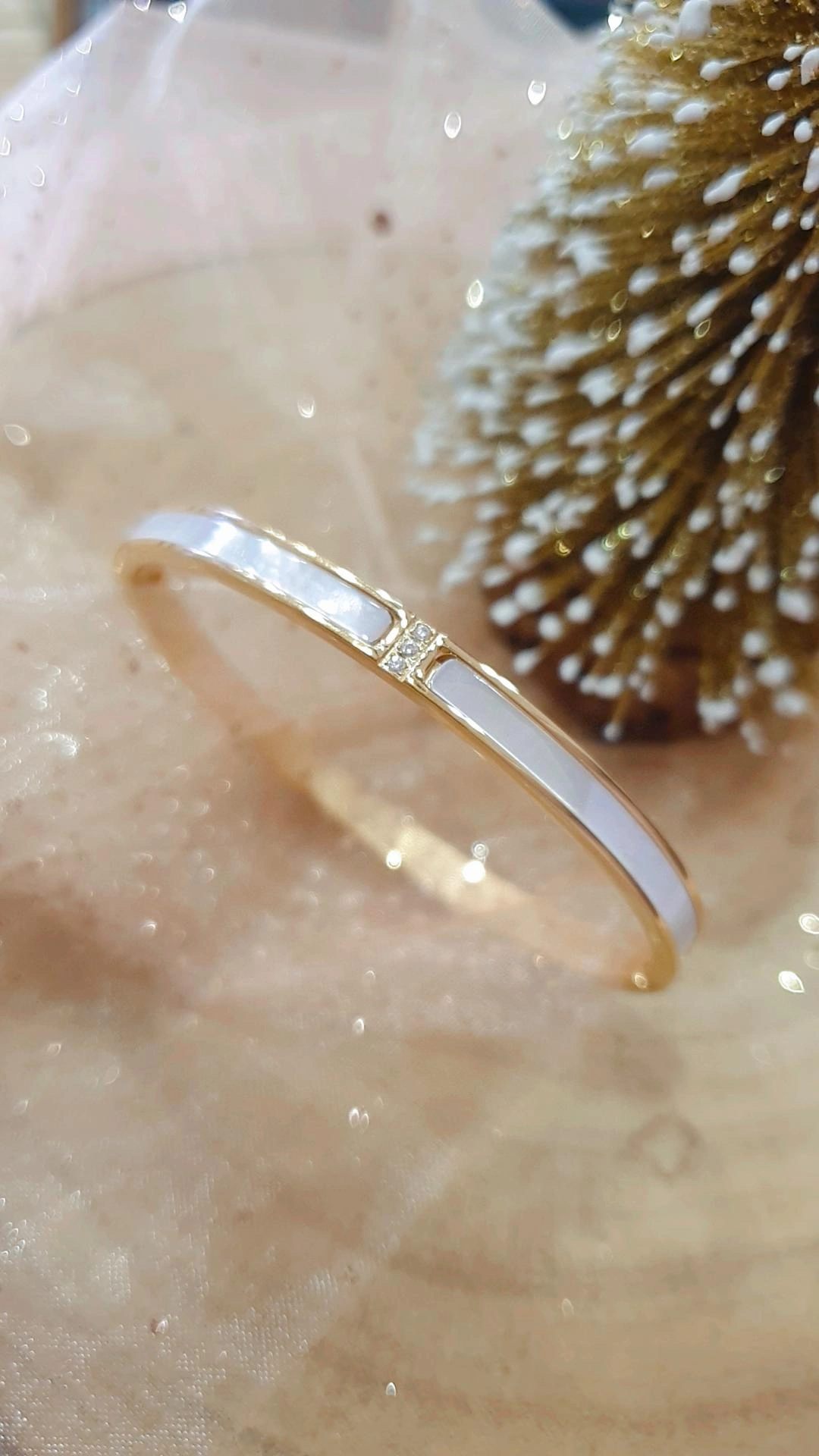 IMG_20251208_162828_390